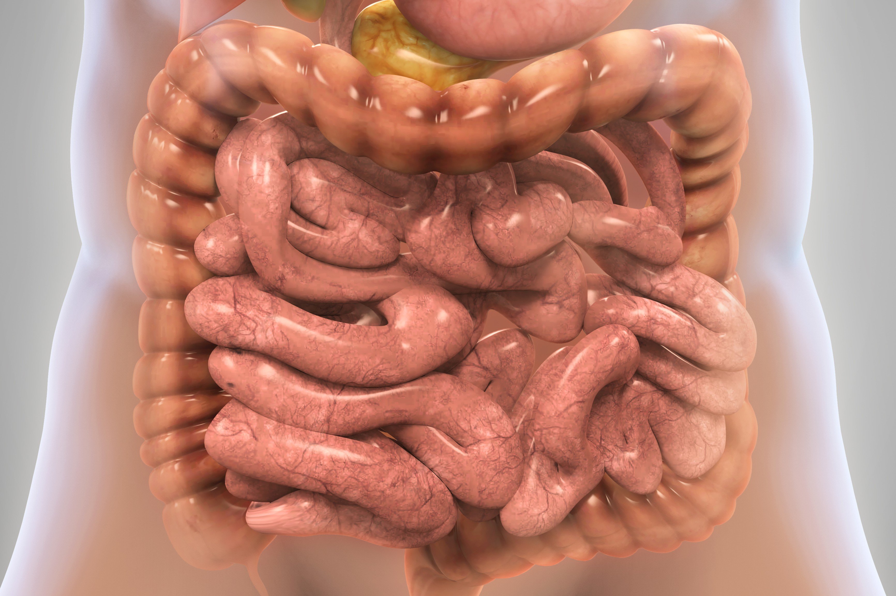 E-learning cover picture