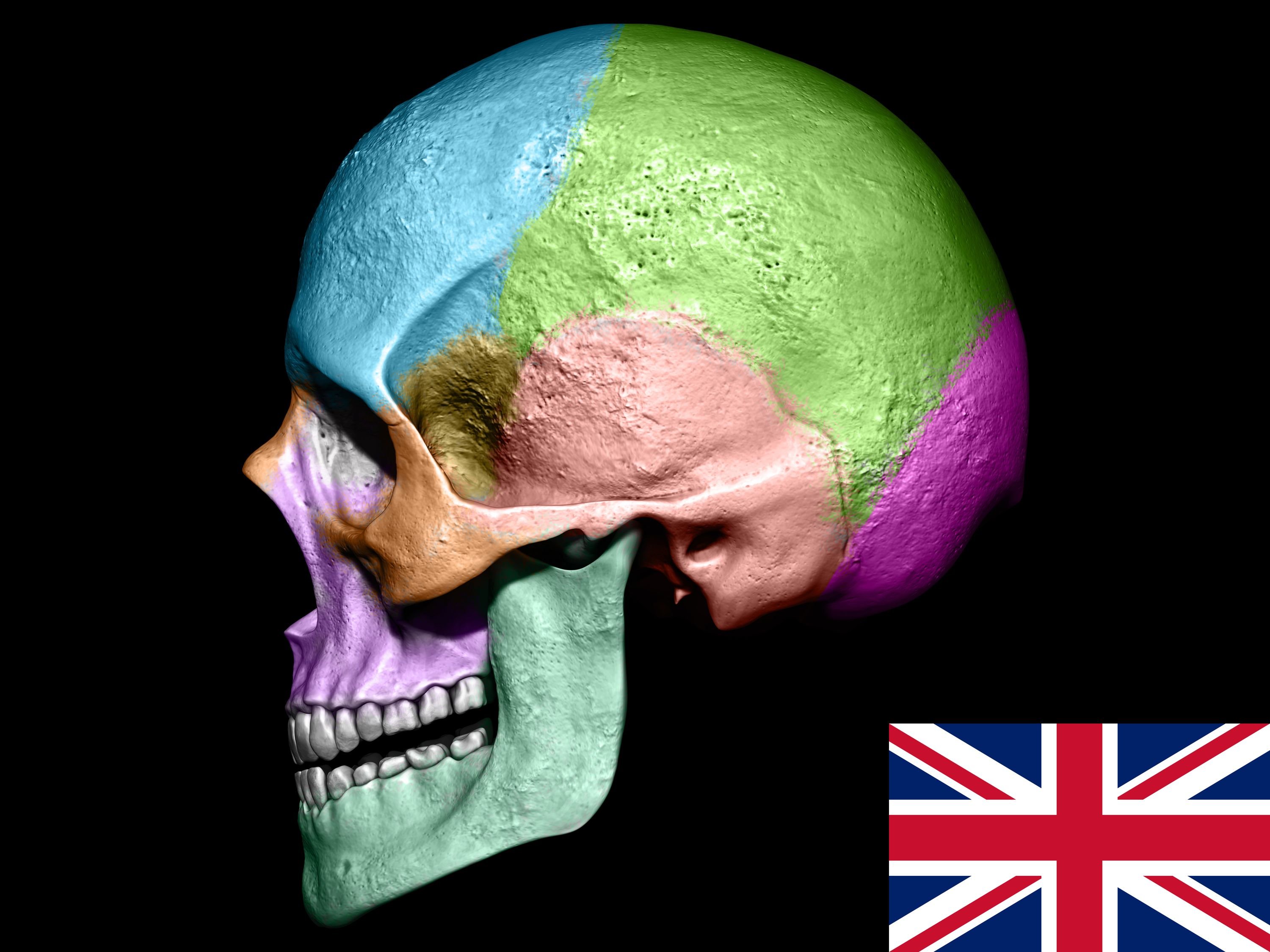 E-learning cover picture